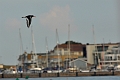 13 04 12_9426_edited-1